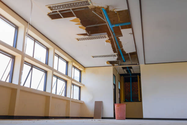  Bridgeport, OH Water damage restoration Pros