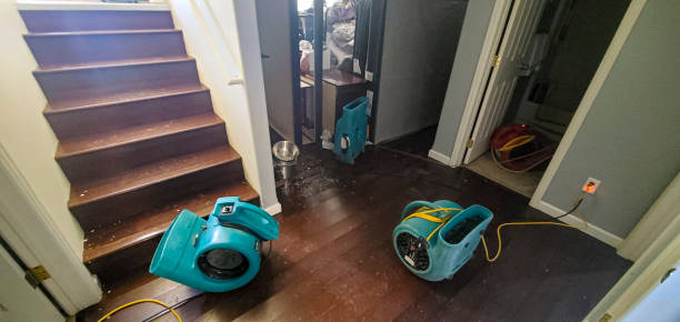 Best Water damage mitigation services  in Bridgeport, OH