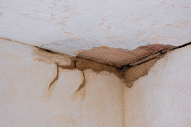 Best Carpet water damage restoration  in Bridgeport, OH