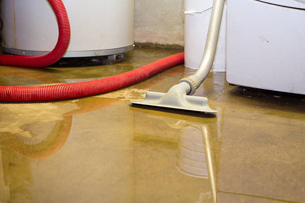 Water damage restoration mold remediation in OH