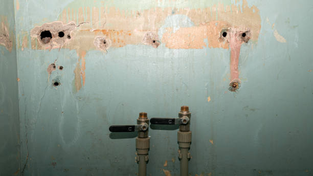 Best 24/7 water damage repair  in Bridgeport, OH